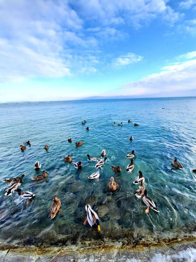 Harmonia Vendeghaz Διαμέρισμα Balatonalmádi Εξωτερικό φωτογραφία
